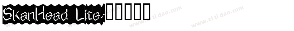 SkanHead Lite字体转换